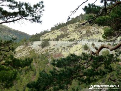 Siete Picos:Senda Herreros,Camino Schmid(Schmidt); excursiones alrededores de madrid;escapadas por m